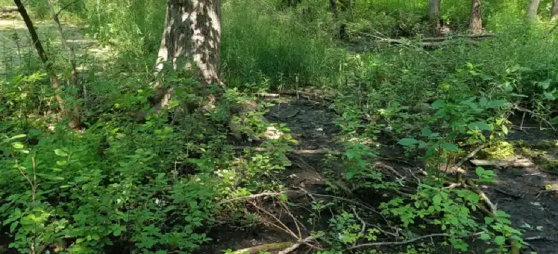 Suburban properties in Winnebago County