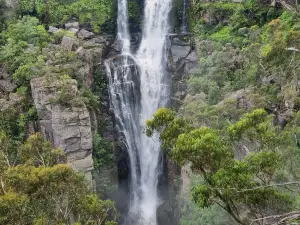 Carrington Falls
