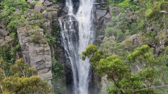 Carrington Falls