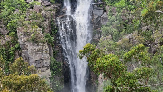 Carrington Falls