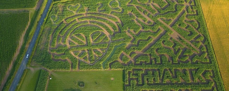 The Great Worcester Maize Maze