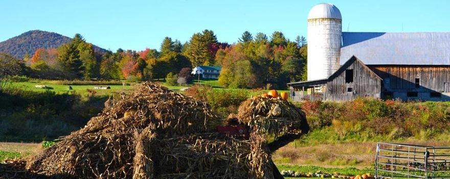 Hartshorn's Organic Farm Stand & Maple Sugar House