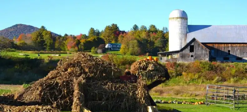 Hotels near Mad River Glen