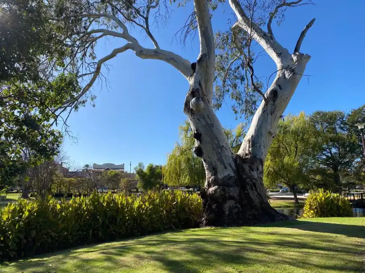 Deniliquin