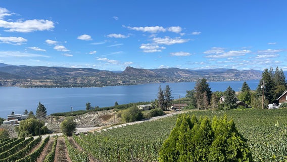 MOCOJO Winery