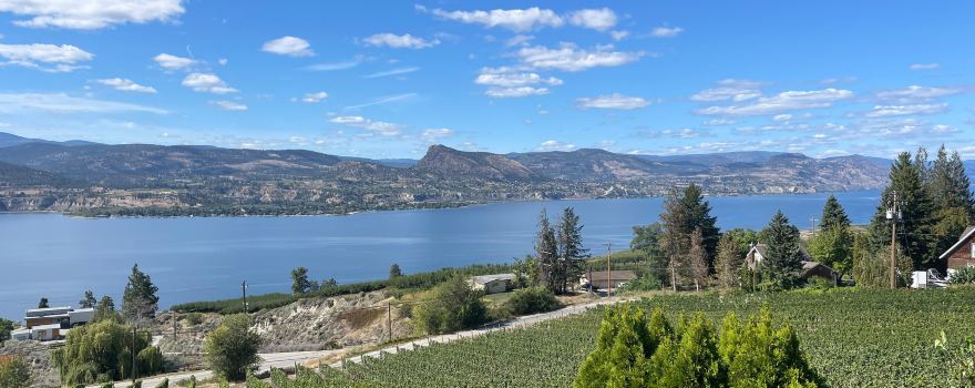 MOCOJO Winery