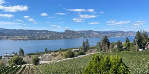 MOCOJO Winery