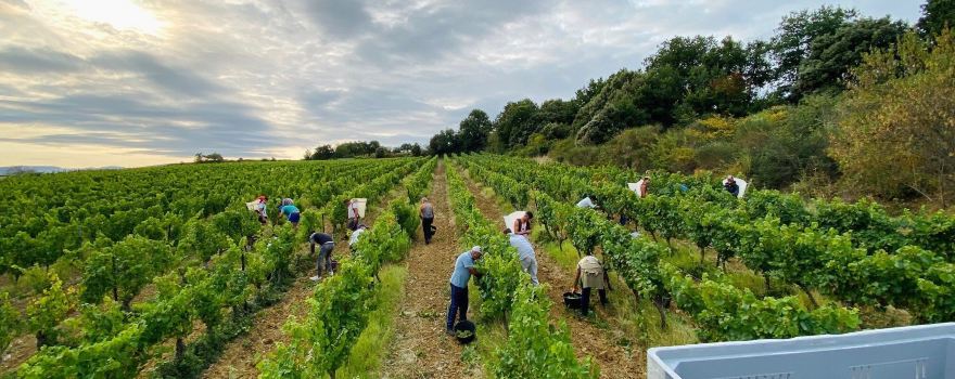 Domaine J.Laurens