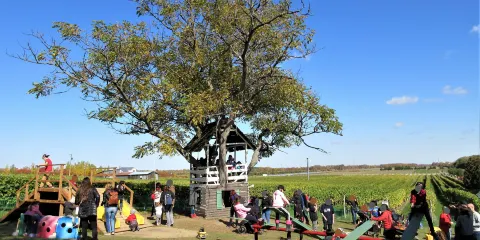Centre d'Interpretation de la Courge du Quebec