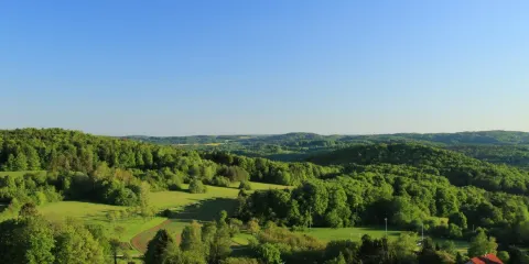 Burgstall Wichsenstein