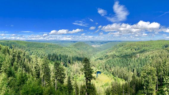 Ellbachsee Aussichtsplattform
