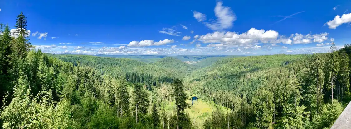 Ellbachsee Aussichtsplattform 주변 호텔