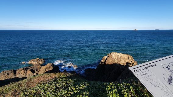 Lamberts Beach Lookout