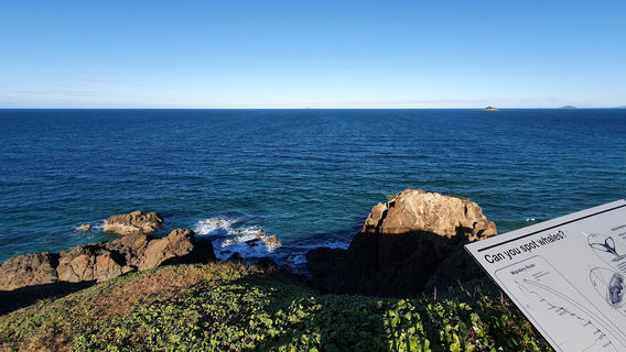 Lamberts Beach Lookout