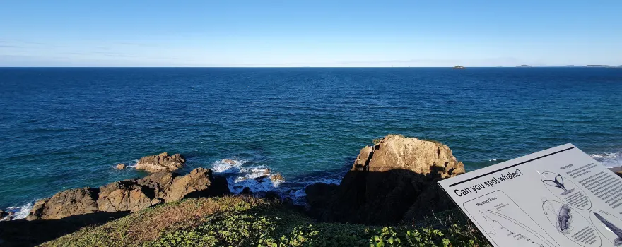 Lamberts Beach Lookout