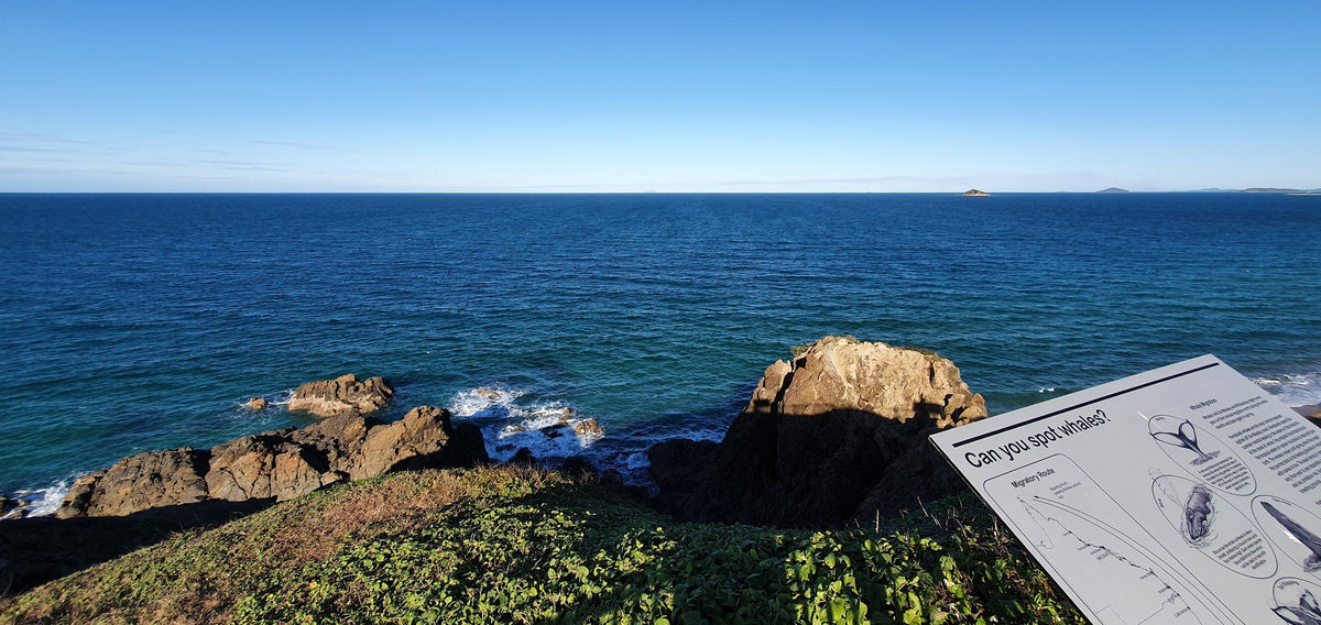 Lamberts Beach Lookout