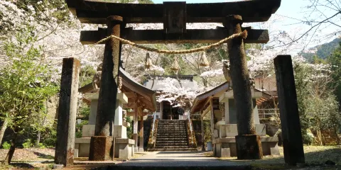 薫的神社
