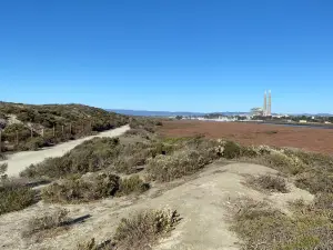 살리나스 리버 스테이트 비치