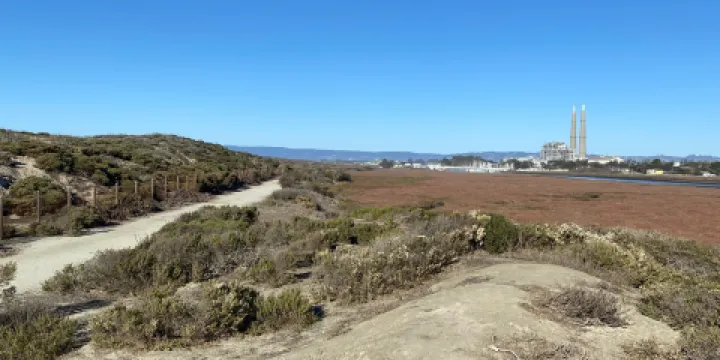 Salinas River State Beach