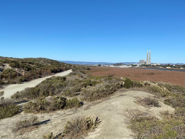 Salinas River State Beach
