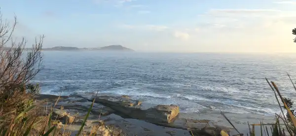 Hotels in Terrigal