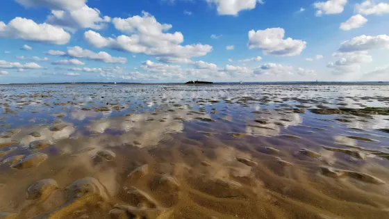 Mulberry Harbour