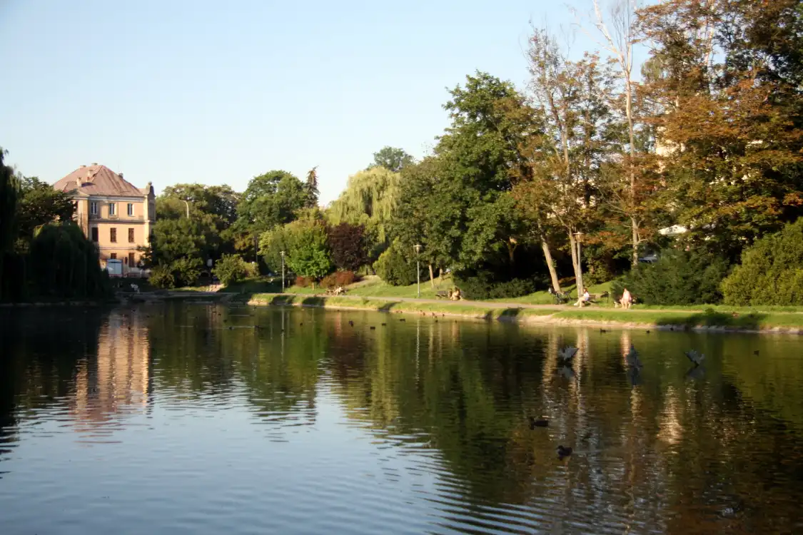 Hotels near Park Miejski