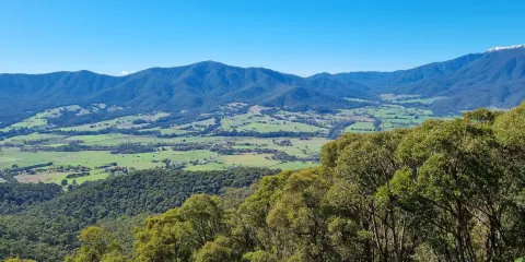 Mount Bogong Lookout