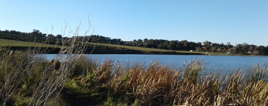 Laguna La Brava Park