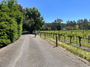 Riesling Trail Bike Hire