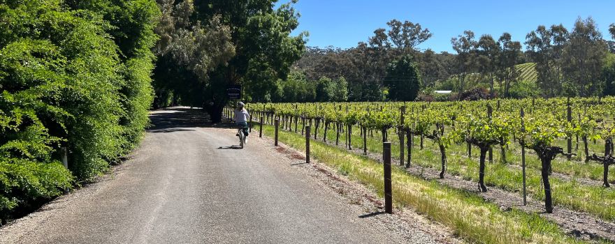 Riesling Trail Bike Hire