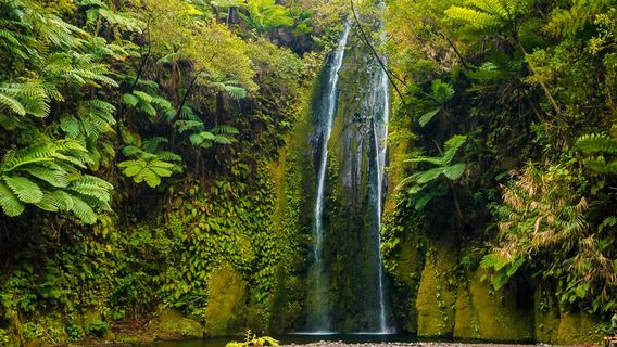 Nazareth Twin Waterfall