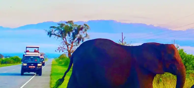 Hotels in Bunyaruguru