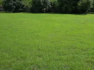 Terrain Monpellier