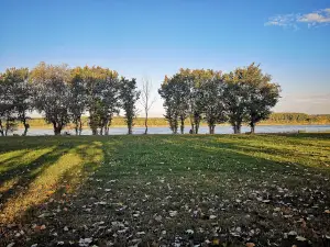 Dikilitash