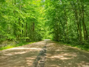 Nature Reserve Chmiel