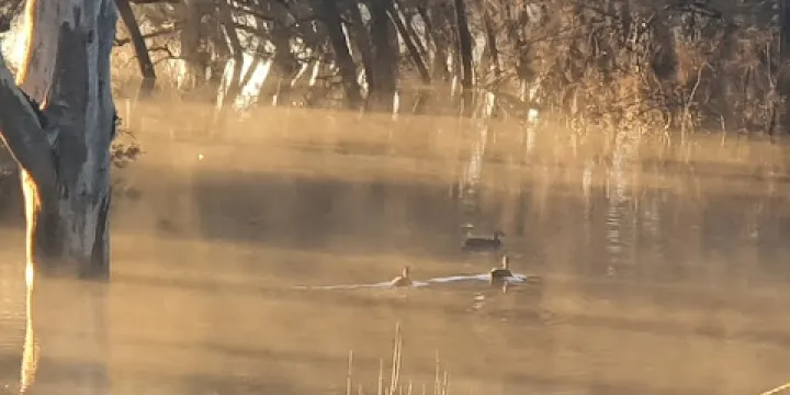Windsor Downs Nature Reserve