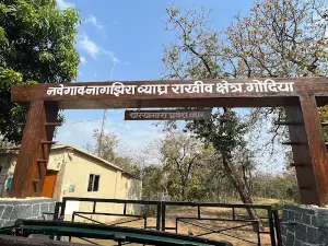 Navegaon Nagzira Tiger Reserve (NNTR) - Chorkhamara Entry Gate