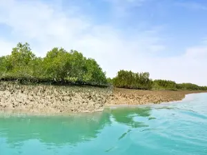 Mangrove Forest Tabl