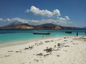 Nuha pasir putih