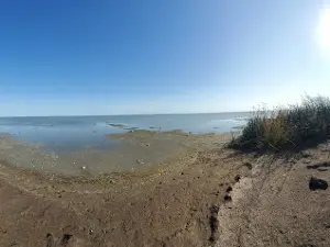 Lynch's Point Campground