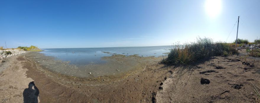 Lynch's Point Campground