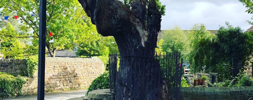 The Fish Stones & Oak Stump