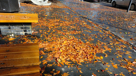 ジョンストン中央図書館