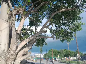 Dharnawda Circle