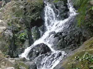 Niagara Gurok Beraye