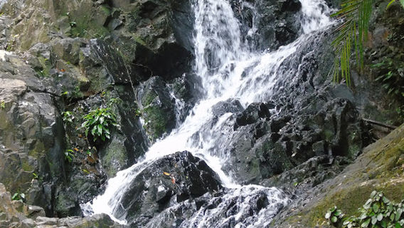 Niagara Gurok Beraye