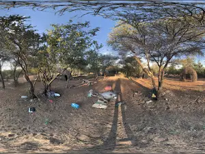 Dqae Qare Areana (Bushman Dances)