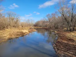 Van Patten Woods Forest Preserve