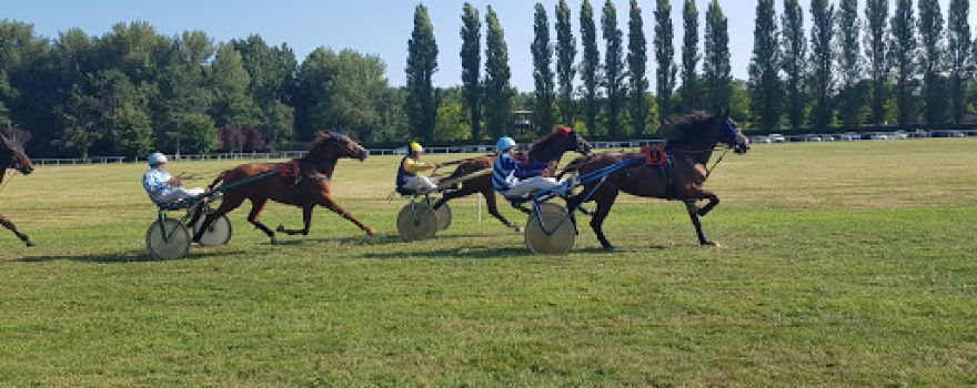 Courses de Chevaux Association